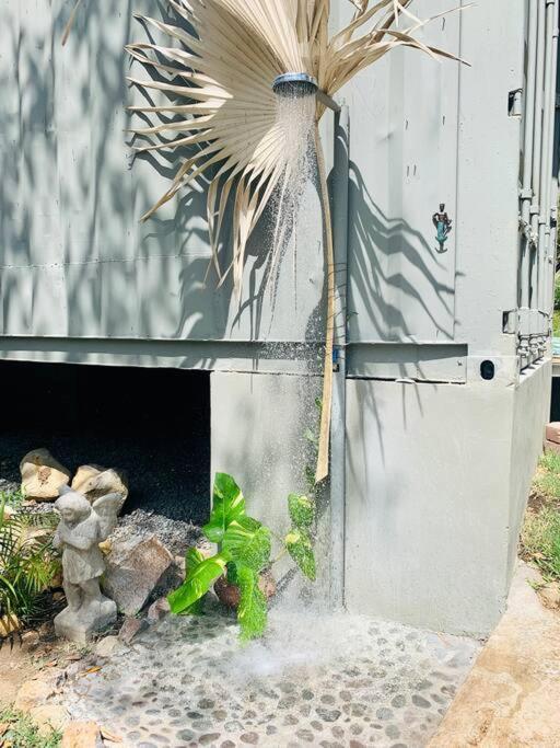 Wabi Sabi , Casa De Playa Villa Tamanique Eksteriør billede